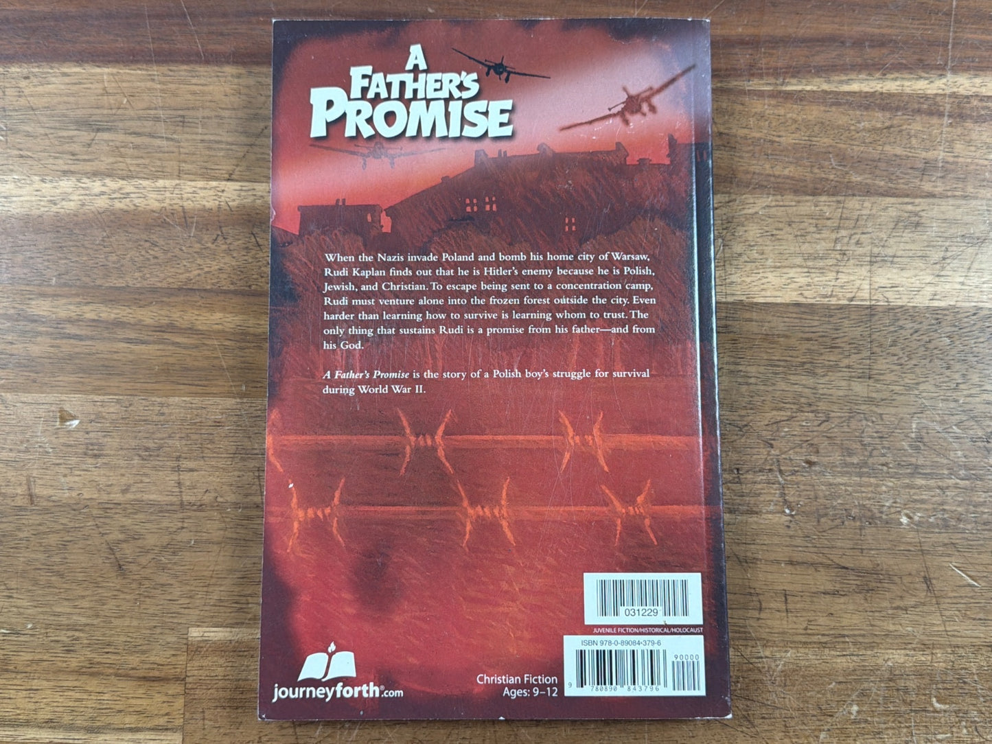 A Father's Promise by Donnalynn Hess - Christian Fiction