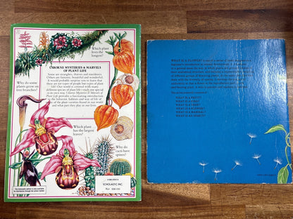 Usborne Plant Life & What Is a Flower? Science Book Set