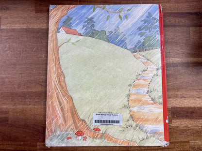 In the Rain with Baby Duck Picture Book by Amy Hest