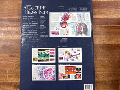 The Illustrated Atlas of the Human Body by Beverly McMillan