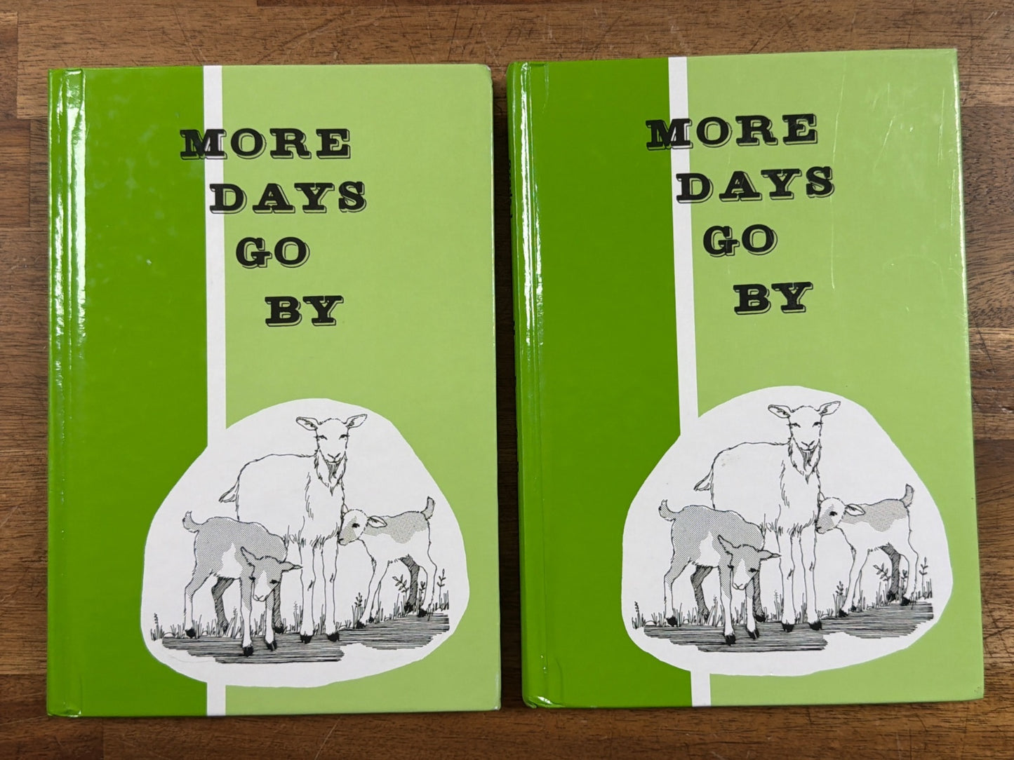 Grade 1 Reader Set: First Steps, Days Go by & More