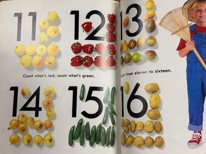 Look and Learn Counting Board Book - Publications Intl