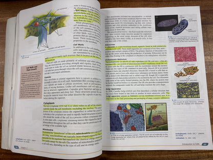 BJU Press Biology Fourth Edition Student Textbook — Acceptable — Item #268078 | Noticeable cover wear with a torn/damaged corner and some edge fraying; no writing inside visible. Highlighting on a few pages.
