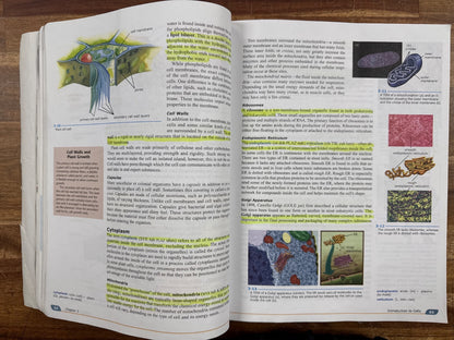 BJU Press Biology Fourth Edition Student Textbook — Acceptable — Cover shows heavy edge and corner wear; interior pages contain some highlighting but no writing.