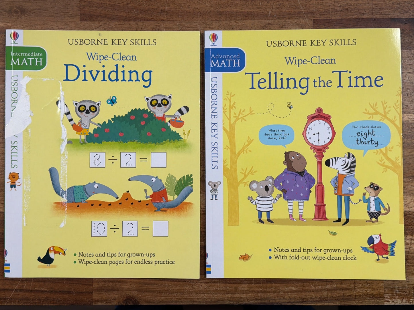Usborne Key Skills Wipe-Clean Math Bundle: Fractions, Multiplying