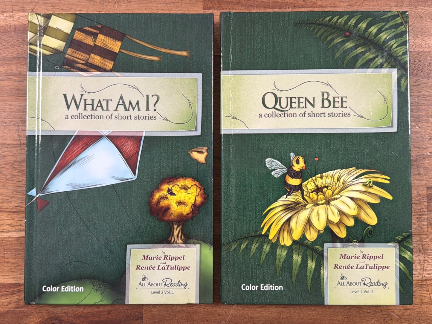 All About Reading & Spelling Level 2 Complete Set