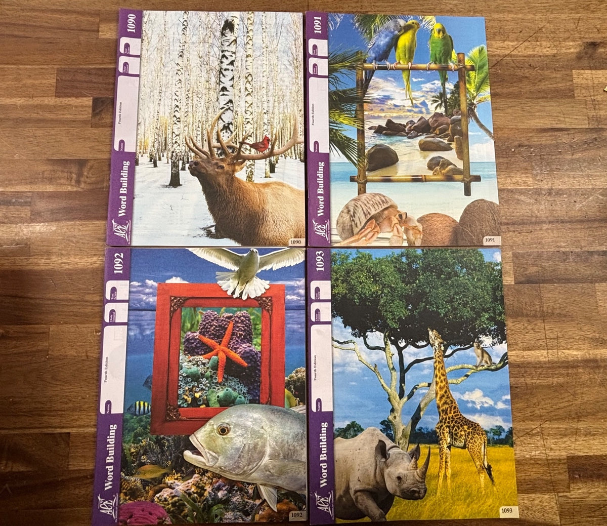 ACE Word Building PACEs 1086-1096 Fourth Edition Set — photo 3 of 11