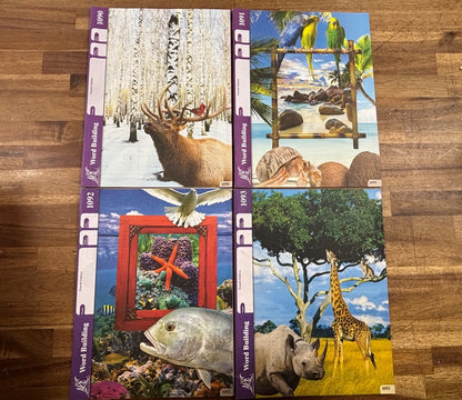 ACE Word Building PACEs 1086-1096 Fourth Edition Set — photo 3 of 11