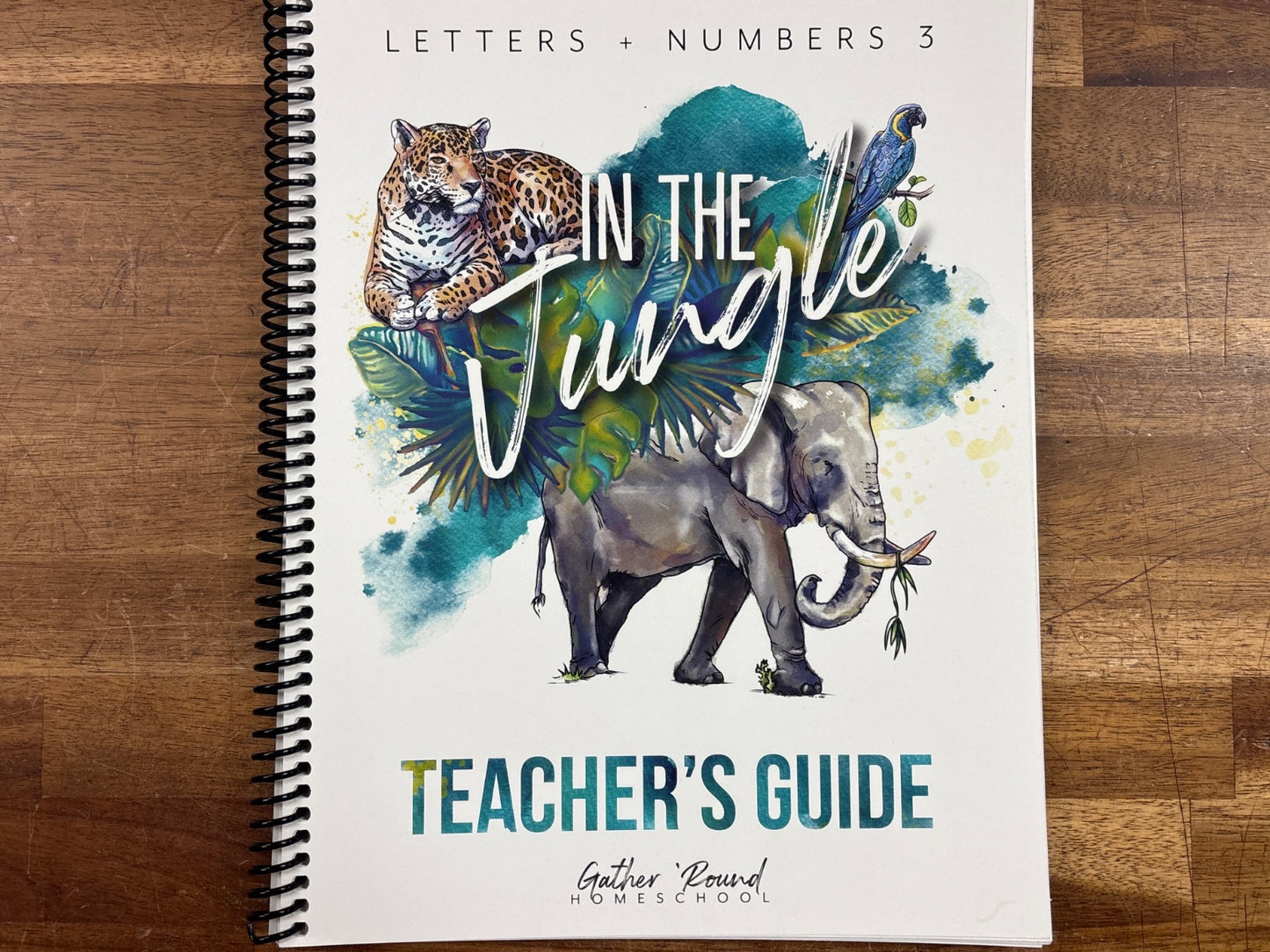 Gather Round Homeschool in the Jungle Letters + Numbers 3 Set