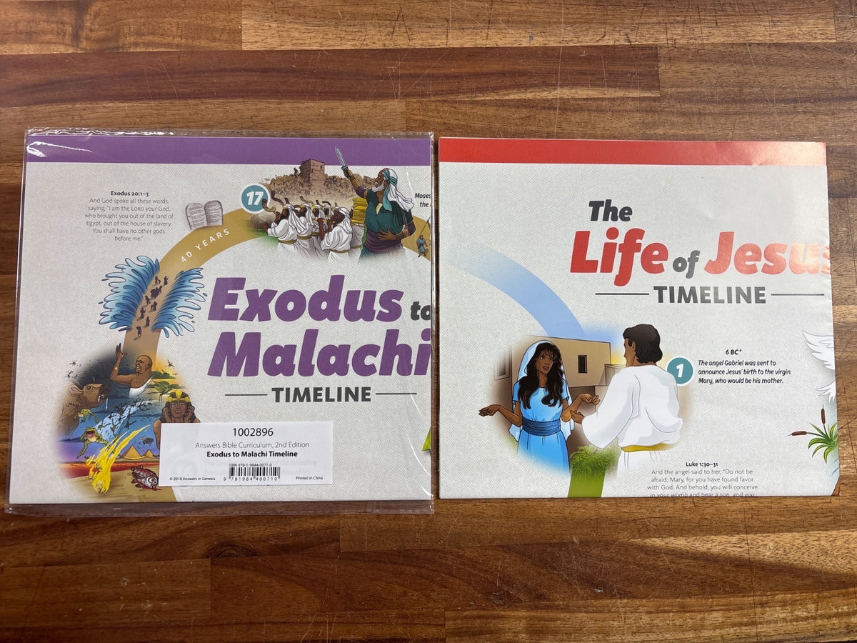 Answers in Genesis Bible Curriculum — photo 4 of 7