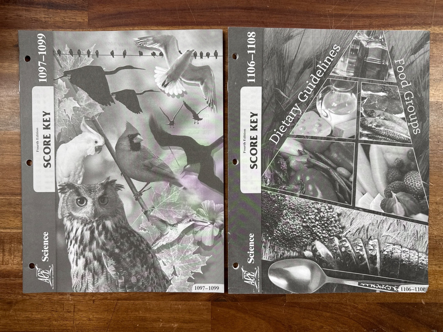 ACE PACEs Science 4th Ed