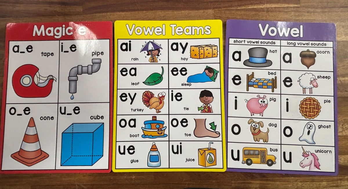 My First Phonics Charts- Book of Charts & 11 Extra Charts
