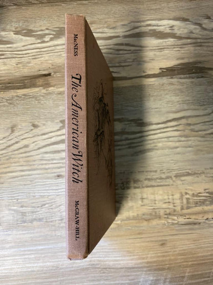 The American Witch by Jay Jackson MacNess