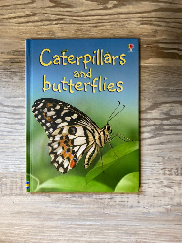 Usborne Beginners Caterpillars and Butterflies