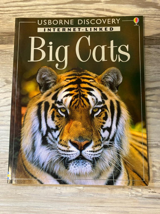 Usborne Big Cats
