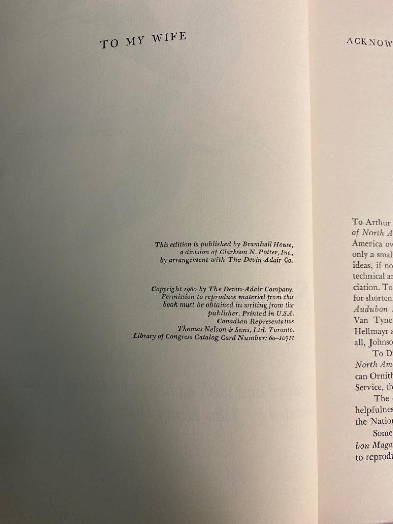 A Gathering of Shore Birds by Henry Marion Hall