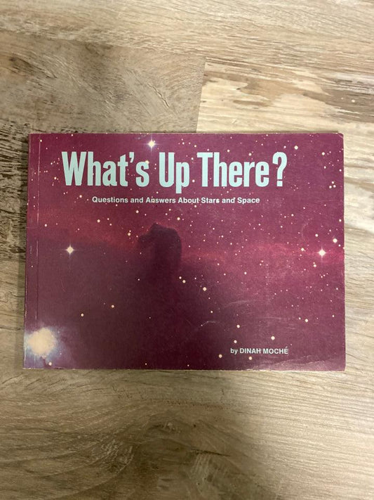 What's Up There? by Dinah Moche