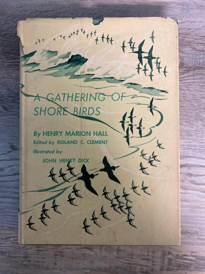 A Gathering of Shore Birds by Henry Marion Hall