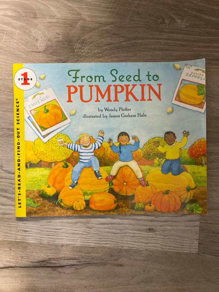 From Seed to Pumpkin