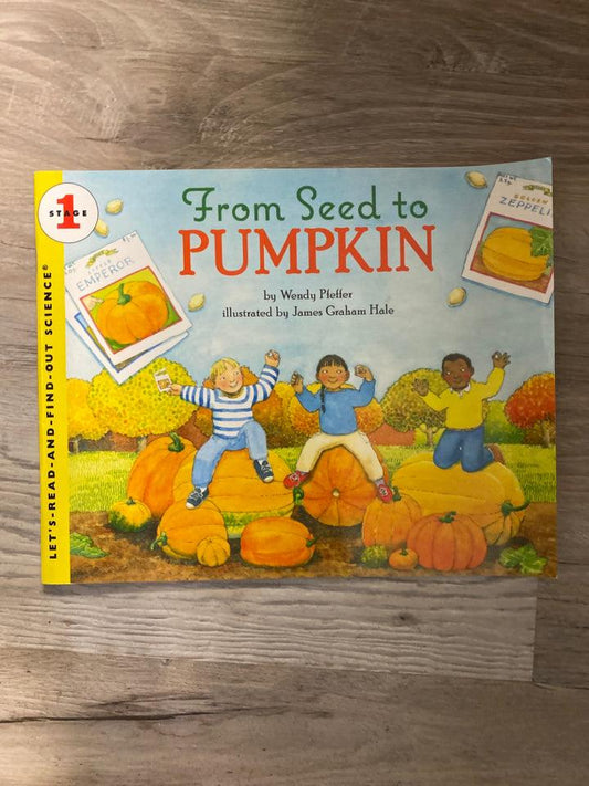 From Seed to Pumpkin