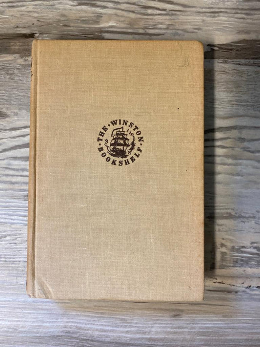 Rose in Bloom by Louisa May Alcott