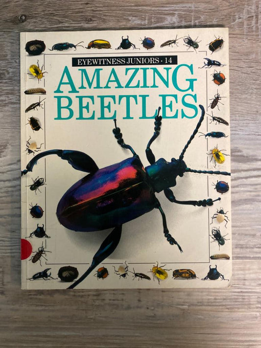 Amazing Beetles, Eyewitness Junior