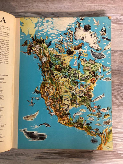 The Golden Geographic Encyclopedia, Overiszed Vintage