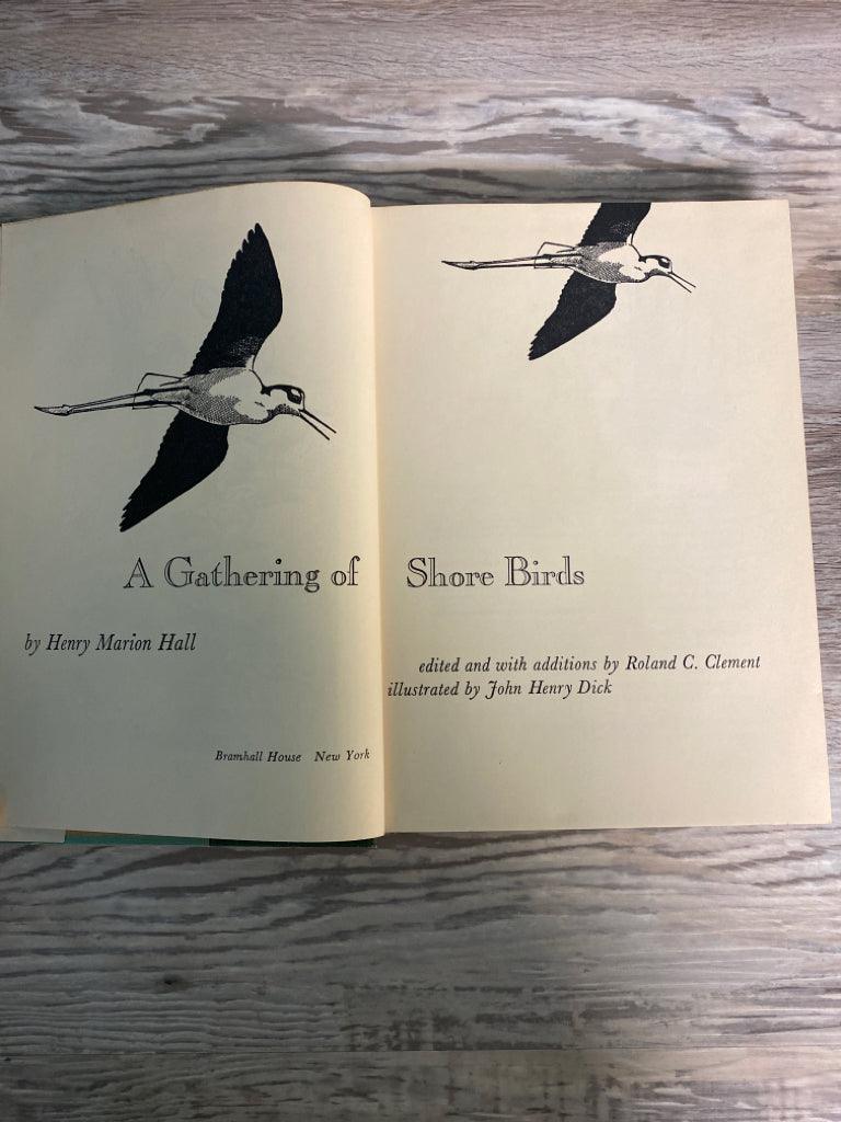 A Gathering of Shore Birds by Henry Marion Hall