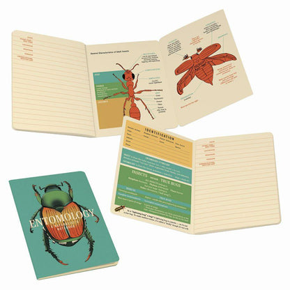 Entomology, A Naturalist's Notebook