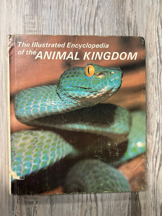 The Illustrated Encyclopedia of the Animal Kingdom Vol 9  Reptiles