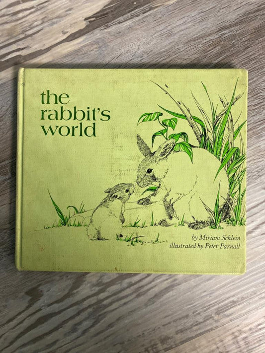The Rabbit's World by Miriam Schlein