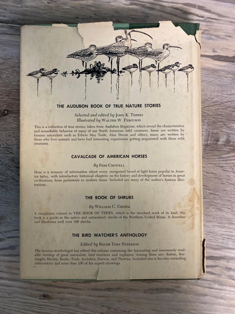 A Gathering of Shore Birds by Henry Marion Hall