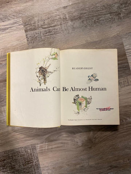 Animals Can Be Almost Human