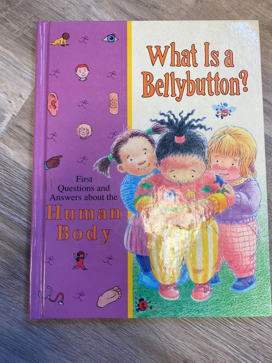 What is a Bellybutton? First Questions and Answers