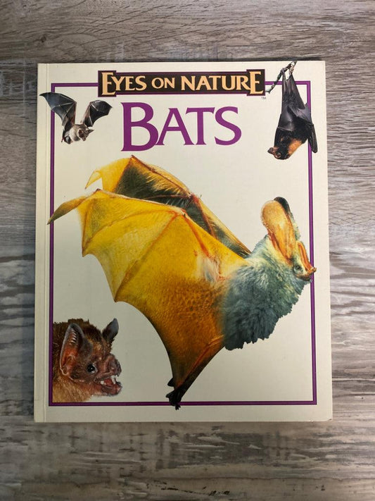 Eyes on Nature: Bats